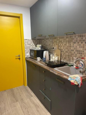Bakuriani mix appartment 210